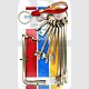 Fire Brigade Products SET9FOB-DK2 Set of 9 Genuine Fire Brigade Keys Standard DK2 Drop Key With Security Fob Pack of 1