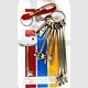 Fire Brigade Products SET9FOB-RK Set of 9 Genuine Fire Brigade Keys Radar Disability Key With Security Fob Pack of 1